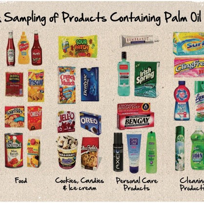 products containing palm oil