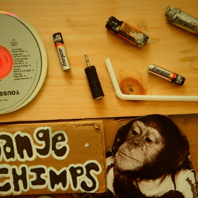 Change for Chimps
